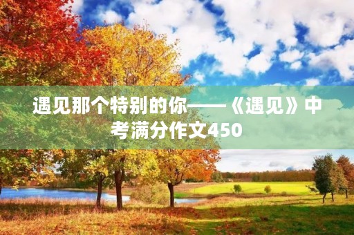 遇见那个特别的你——《遇见》中考满分作文450