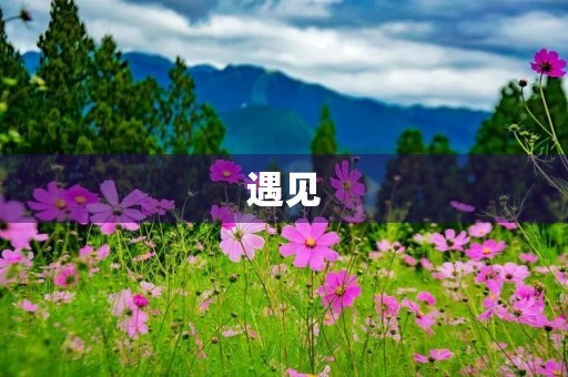 遇见,从此不同的人生 遇见,从此不同的人生