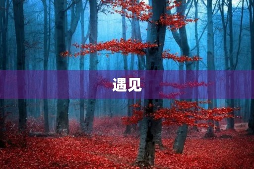 遇见,改变了我的一生 遇见,改变了我的一生
