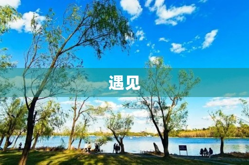 遇见，是一场美丽的邂逅