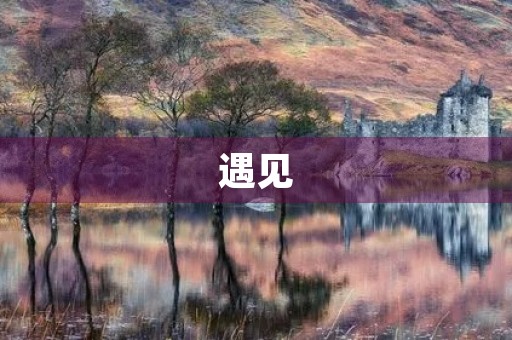 遇见，是一种缘分，也是一种机遇。初三学生的我，也曾经遇见过许多人和事，这些遇见对我的成长有着深远的影响。