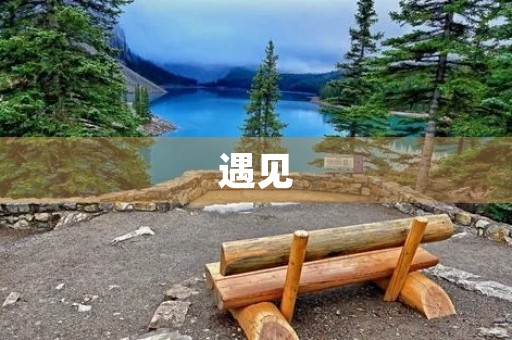遇见，是一种缘分，也是一种美好。每个人的生命中都会遇见不同的人，不同的事，它们或许会改变你的人生轨迹，或许会让你更加坚定自己的信念。