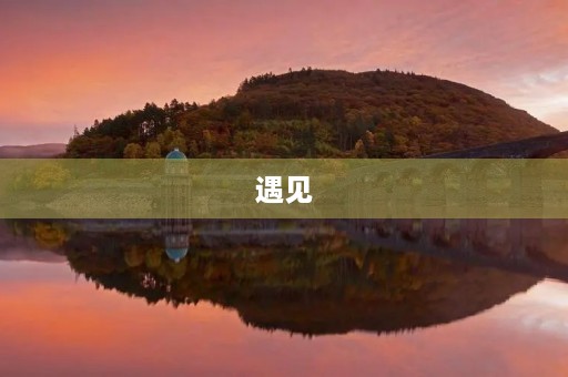 遇见，是一种美丽的偶然