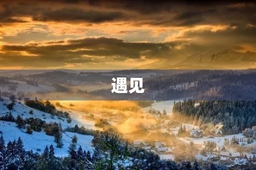 遇见，是人生中最美好的一件事。在我们的生命中，总会遇见一些人、一些事情，它们或许会改变我们的人生轨迹，亦或是让我们更加坚定自己的信念。今天，我想和大家分享一下我曾经遇见的那些人和事。