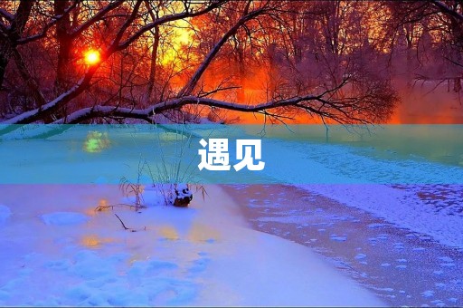 遇见，是人生中最美好的偶遇