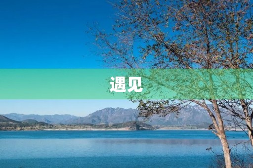 遇见，让我们的人生不再孤单