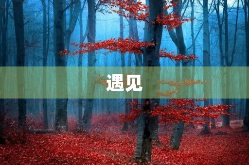 遇见,让我懂得了生命的意义 遇见,让我懂得了生命的意义