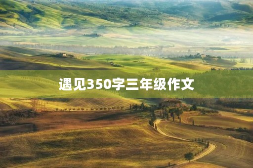 遇见350字三年级作文 遇见350字三年级作文