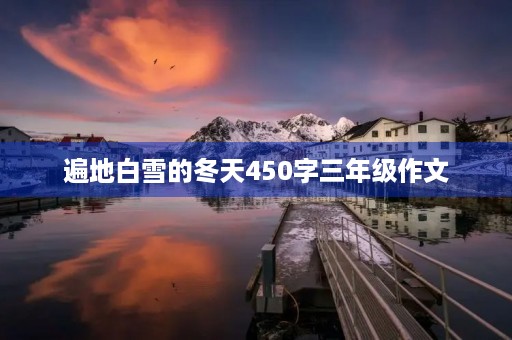 遍地白雪的冬天450字三年级作文