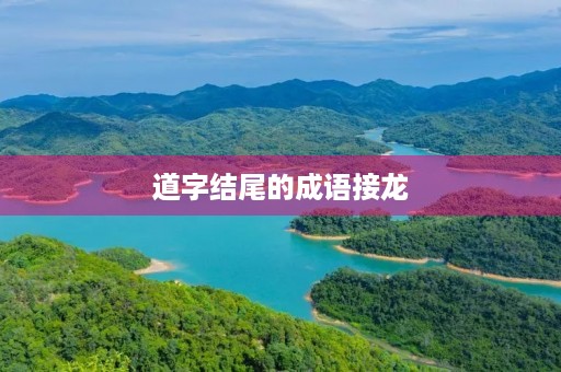 道字结尾的成语接龙