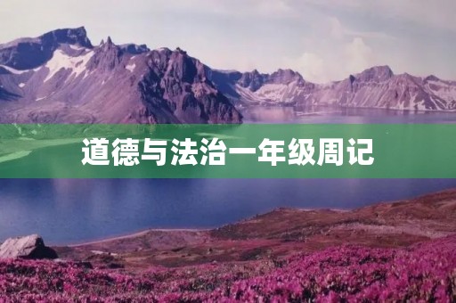 道德与法治一年级周记