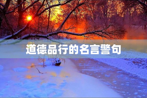 道德品行的名言警句(道德品行的名言警句大全)