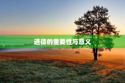 道德的重要性与意义 道德的重要性与意义
