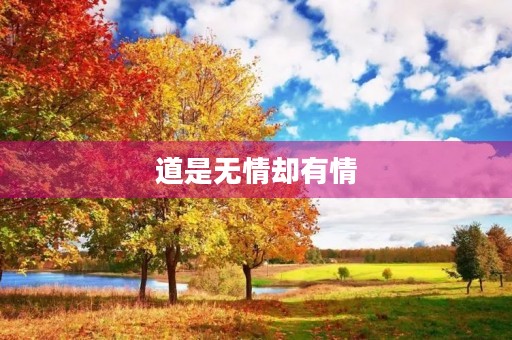 道是无情却有情 道是无情却有情