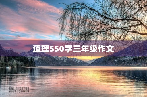 道理550字三年级作文