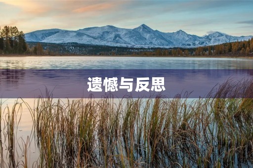 遗憾与反思