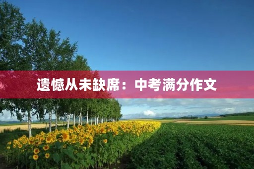 遗憾从未缺席:中考满分作文 遗憾从未缺席:中考满分作文
