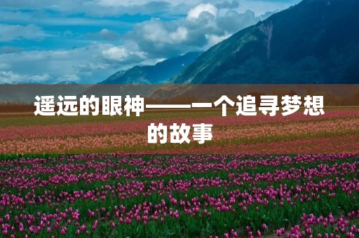 遥远的眼神——一个追寻梦想的故事