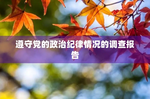 遵守党的政治纪律情况的调查报告 遵守党的政治纪律情况的调查报告