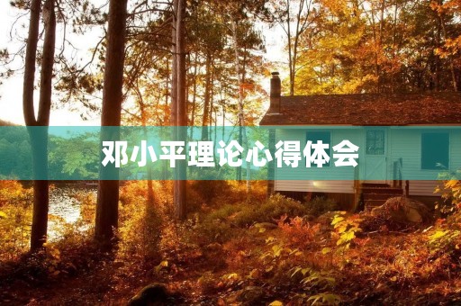 邓小平理论心得体会