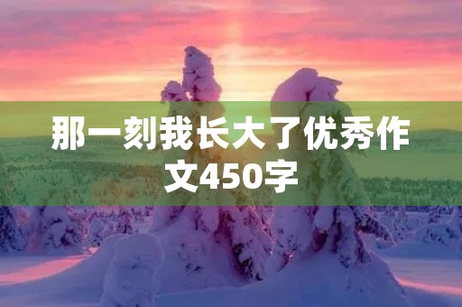 那一刻我长大了优秀作文450字