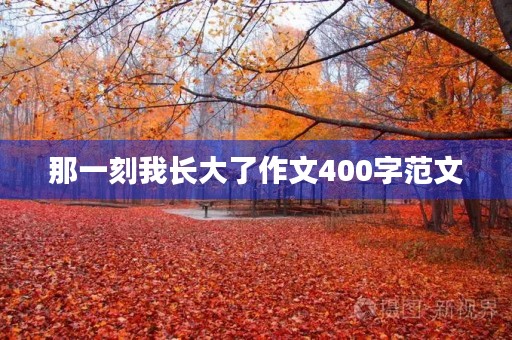 那一刻我长大了作文400字范文