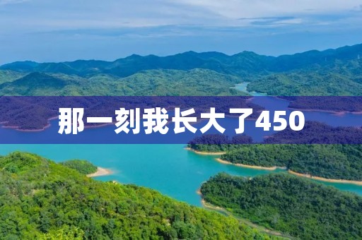 那一刻我长大了450