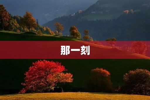 那一刻，就这样被感动了