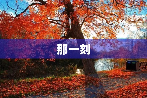那一刻,我们相遇了 那一刻,我们相遇了