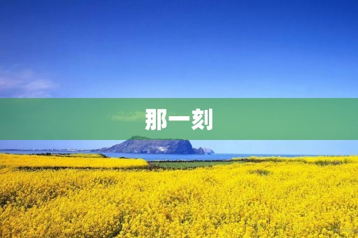 那一刻，我明白了半个命题