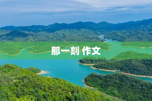 那一刻 作文