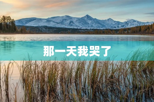 那一天我哭了