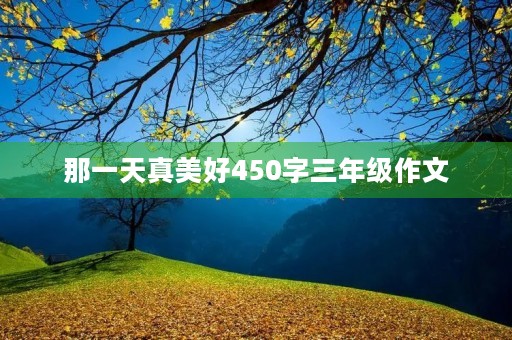 那一天真美好450字三年级作文