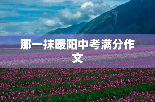 那一抹暖阳中考满分作文 那一抹暖阳中考满分作文
