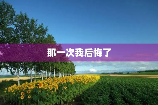 那一次我后悔了