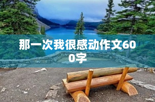 那一次我很感动作文600字