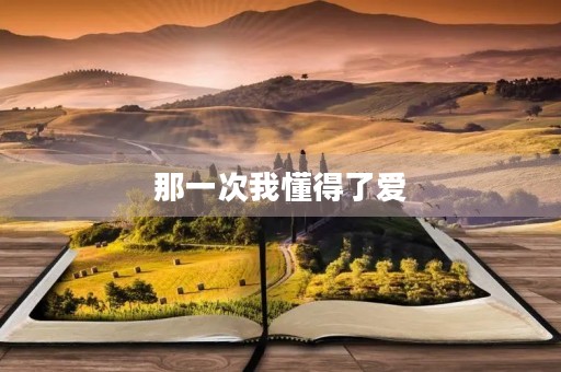 那一次我懂得了爱 那一次我懂得了爱