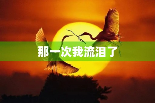 那一次我流泪了