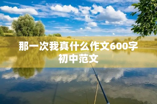 那一次我真什么作文600字初中范文