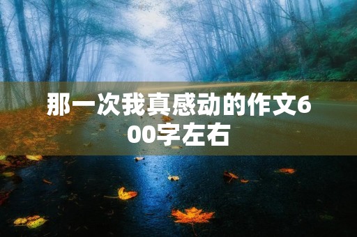 那一次我真感动的作文600字左右 那一次我真感动的作文600字左右