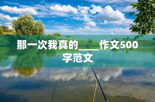那一次我真的____作文500字范文