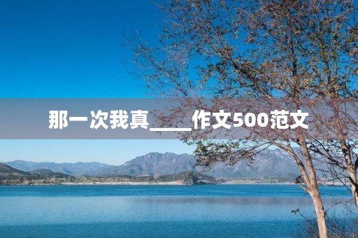 那一次我真____作文500范文