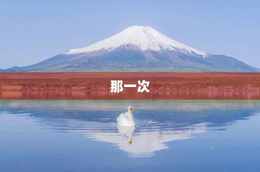 那一次，我懂得了什么