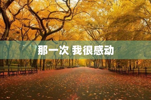 那一次 我很感动
