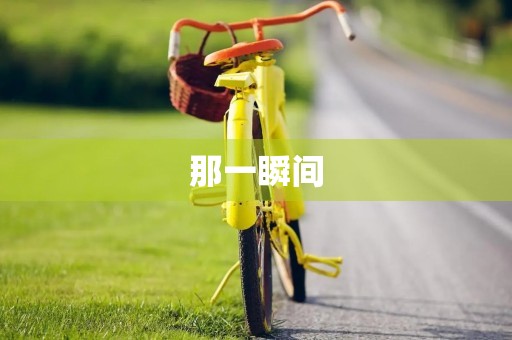 那一瞬间，我终于明白了
