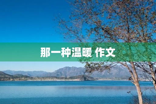 那一种温暖 作文 那一种温暖 作文
