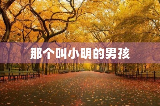 那个叫小明的男孩