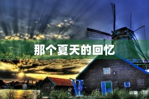 那个夏天的回忆 那个夏天的回忆