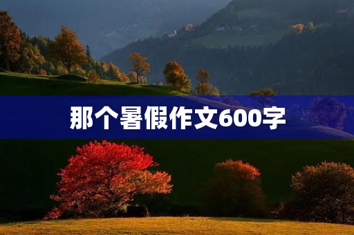 那个暑假作文600字