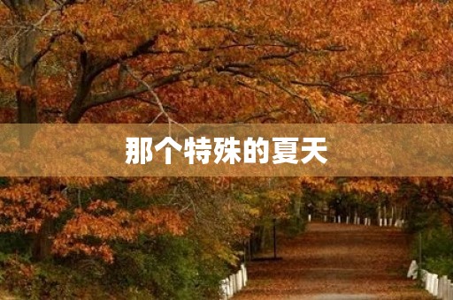 那个特殊的夏天 那个特殊的夏天